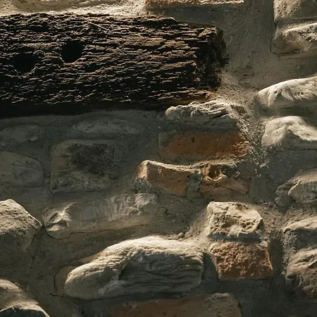 Podere Sottoilnoce Agroturismo Castelvetro di Modena